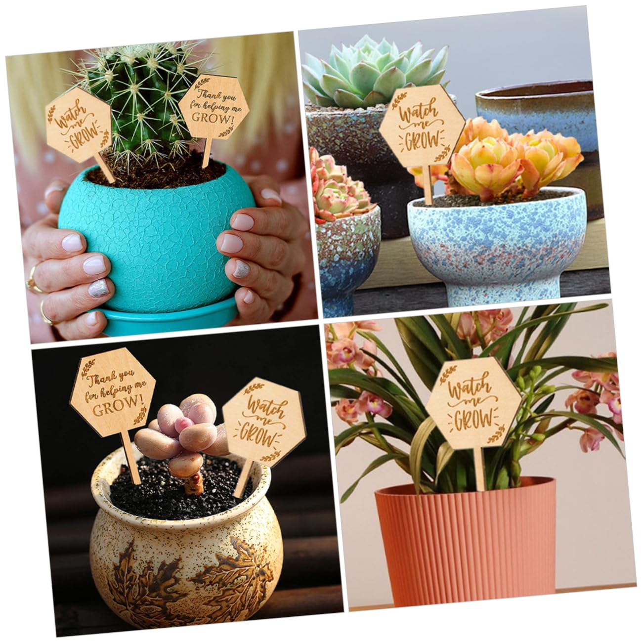 Hemobllo 3 Set Etichette Per Piante Da Marcatori Per Piante Facile Personalizzare Decorazione Per Giardinaggio E Coltivazione 40 Pezzi*3