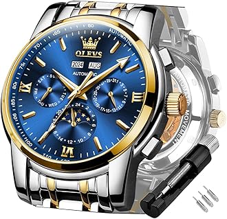 Mens Automatic Watches Skeleton Mechanical Self Winding Luxury Fashion Dress Wrist Watch Luminous Waterproof