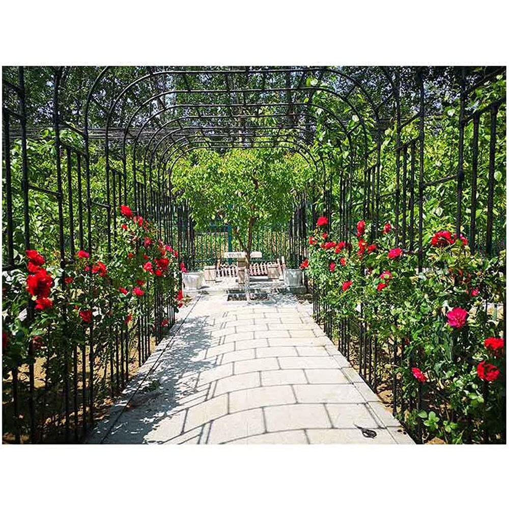Arche de jardin pour plantes grimpantes - En métal - Pour l'extérieur - Pour pelouse, arrière-cour, mariage - Design croisé - Durable - Noir - 1,5 x 2,4 m