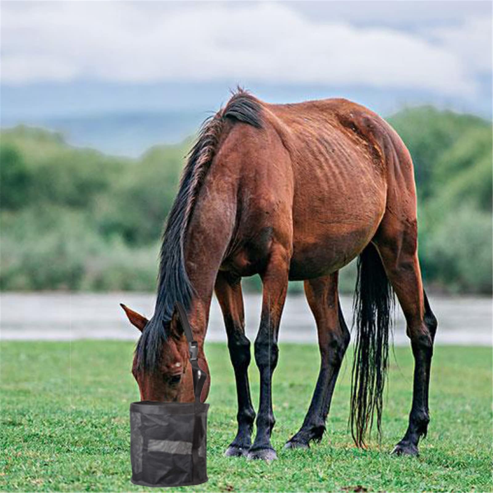 Bolsa de alimentación para caballos, bolsas de malla transpirable, bolsa de heno de alimentación lenta, bolsa de heno portátil para caballos, con correa ajustable, broche duradero para bolsas de ali