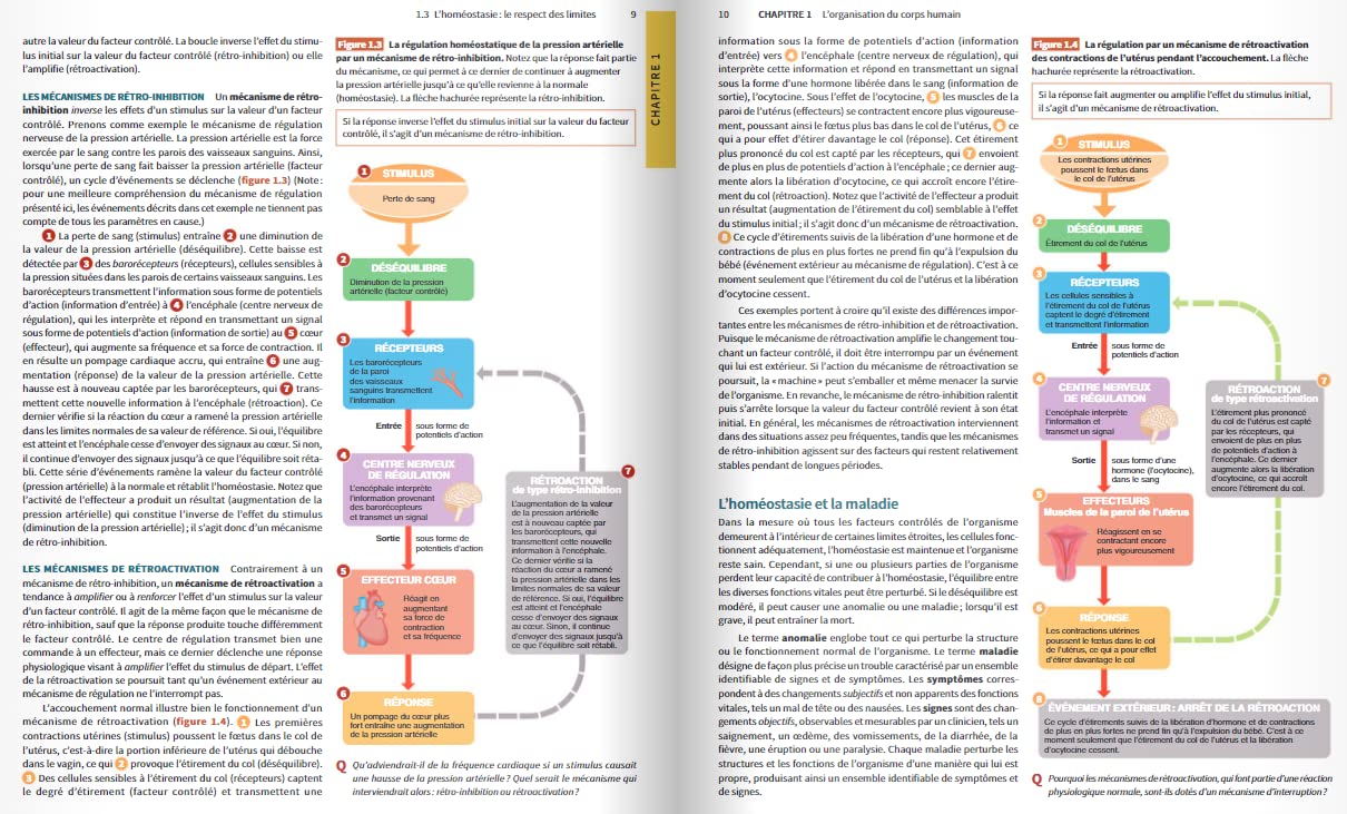 Manuel d'anatomie et de physiologie humaines