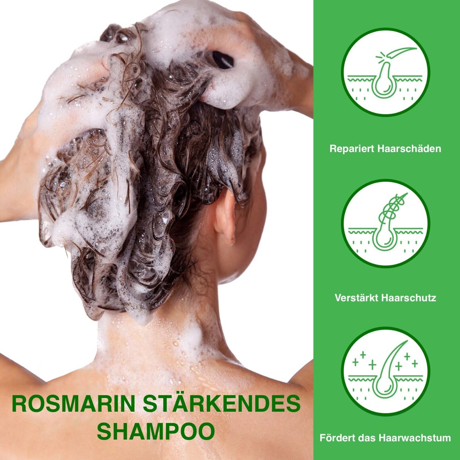 P-Beauty Rosmarin Haarpflege Set2 - Haarmaske 60g, Rosmarinöl 60ml, Shampoo 300ml & Conditioner 300ml, für Haarwachstum & Kopfhaut | Haarpflegekur, Haarpflegeöl, Stärkungsshampoo, Haarspülung Set