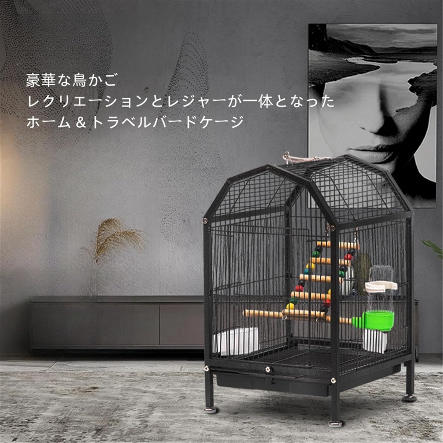 パリー ウエイクフィールド 超大株 ※引き取り限定 【公式通販】