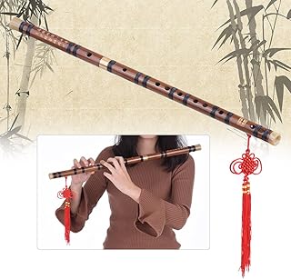 Flauta de Bambu Amargo Pluggable Dizi Instrumento de Sopro Musical Chinês Tradicional Feito à Mão Chave de D Nível de Estudo Desempenho Profissional