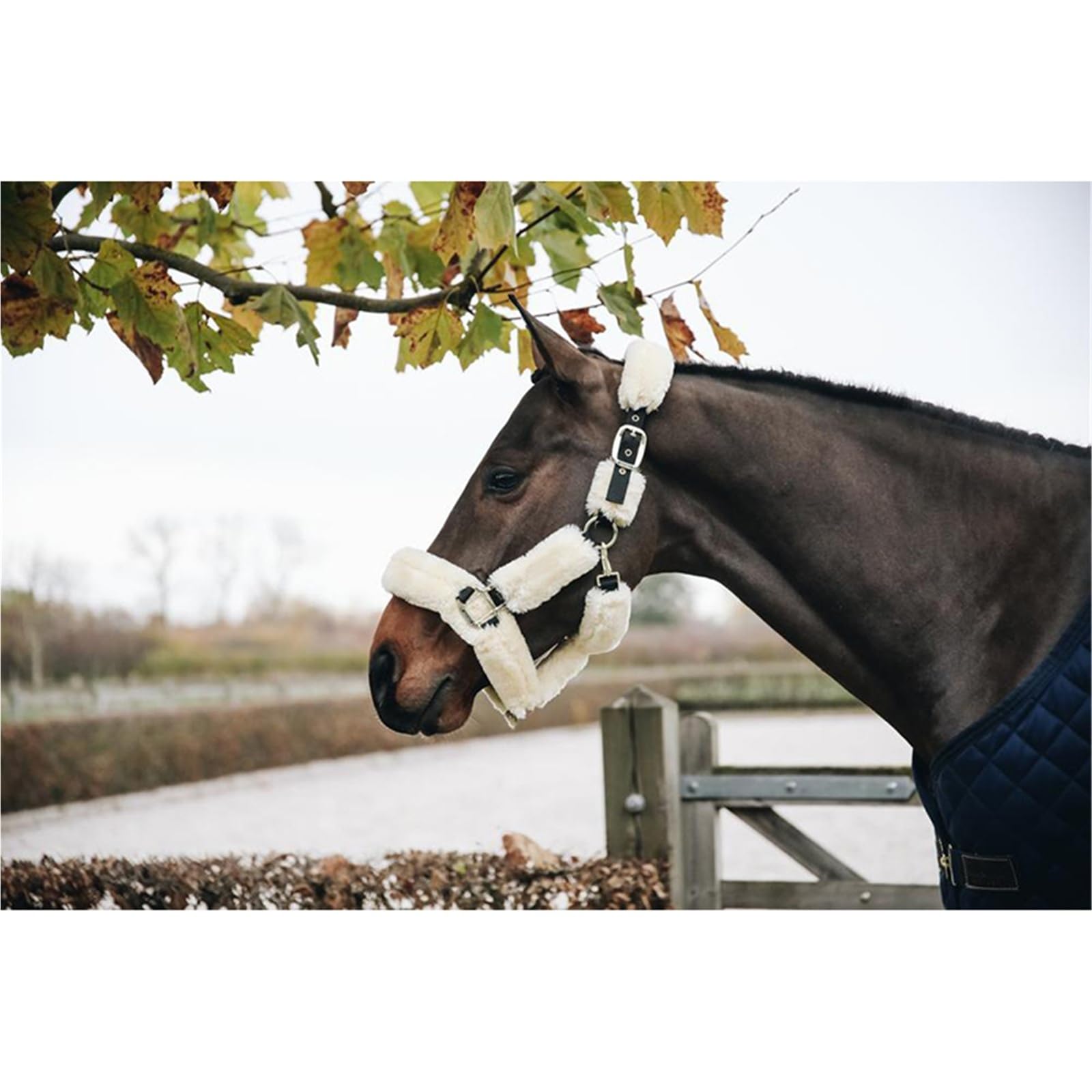 Halfter Für Pferde Reitsport-Halfter-Fleece-Rennhalfter-Pferdeausrüstung(Yellow)