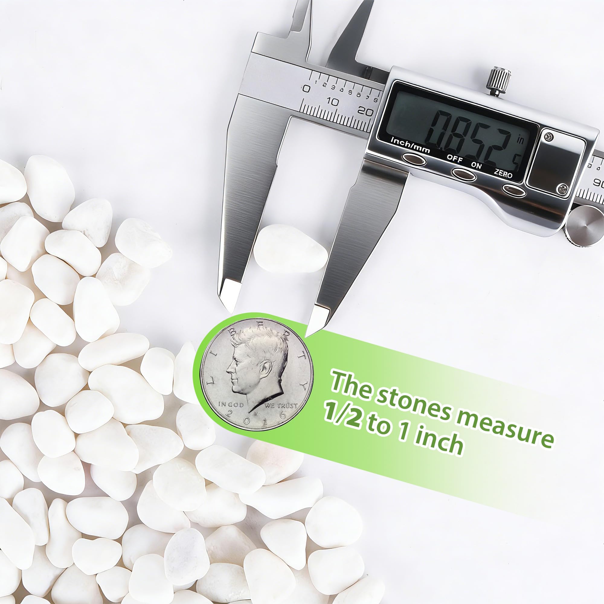 Anothera - Piedras decorativas de frijol blanco de 1,27 cm para interior y exterior, para plantas de pecera, jardín (bolsa de 8,2 kg)