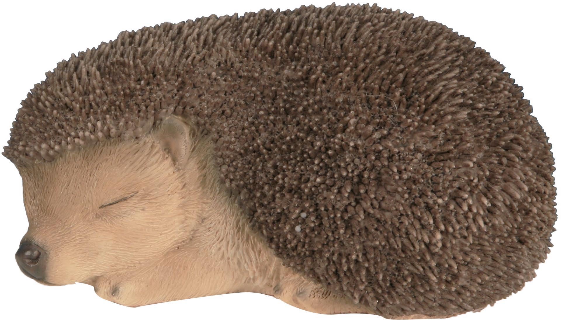 Animaux En Resine Hérisson Bébé Dormant, 3580792004549, Multicolore, 14.52x9.9x7.15 cm, 200454