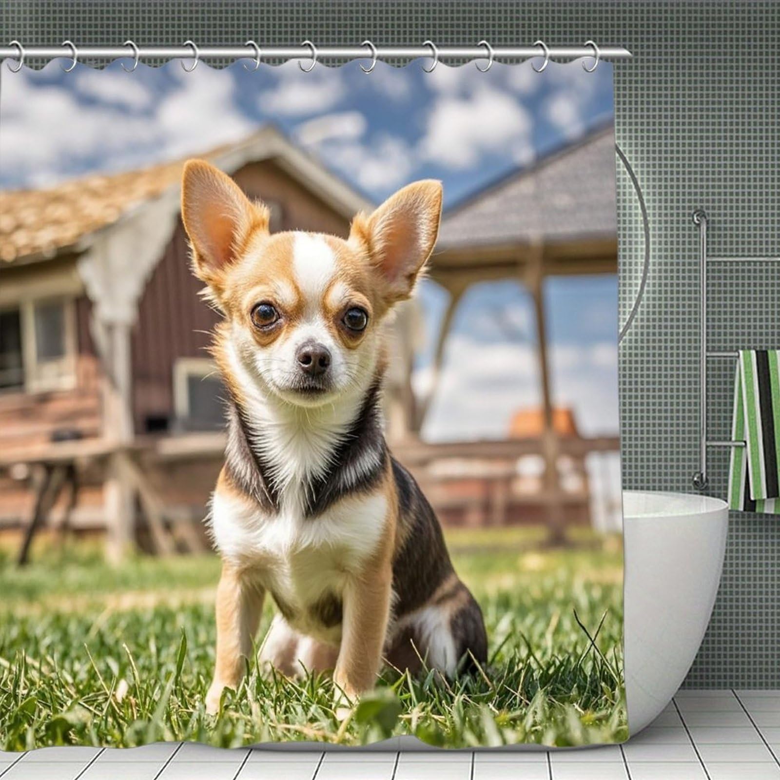 FekiLoot Farm Cute Chihuahua Shower Curtain with Hooks Modern Farmhouse Bathroom Curtain Waterproof Cloth Bath Curtains Cute Washable Blackout Privacy Curtains for Bathroom Bathtub 70.8"x70.8"