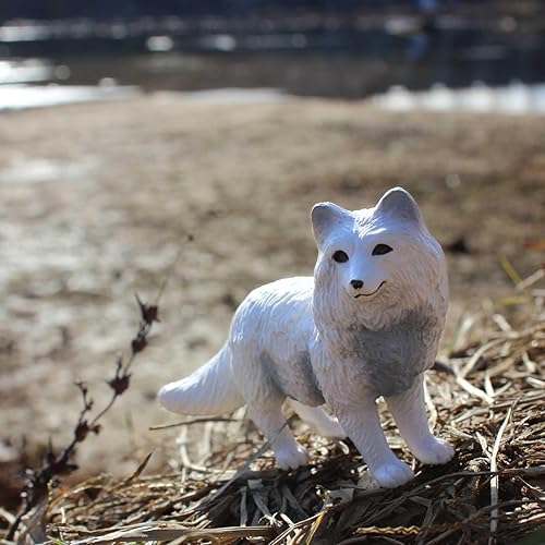 Miniatura 2 de Safari Ltd. Arctic Fox Figurine – Figura detallada de plástico de 3.25 pulgadas – Divertido juguete educativo para niños, niñas y niños a partir