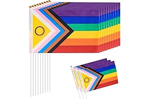 12 Pack of 5x8 Inch Mini Progress Rainbow LGBTQ Pride Flags with Poles