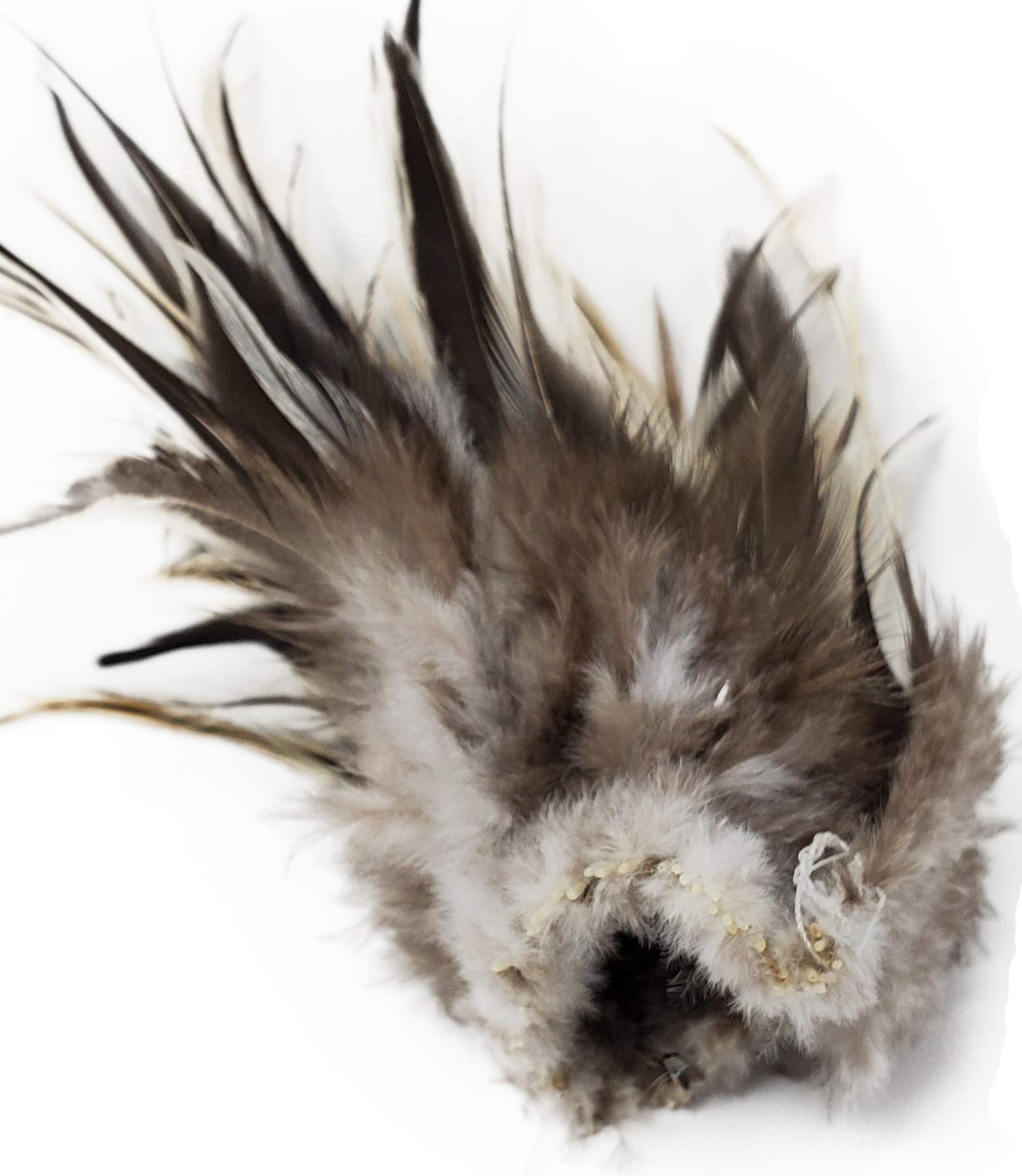 Amazon.com : Creative Angler Saddle Hackle for Fly Tying
