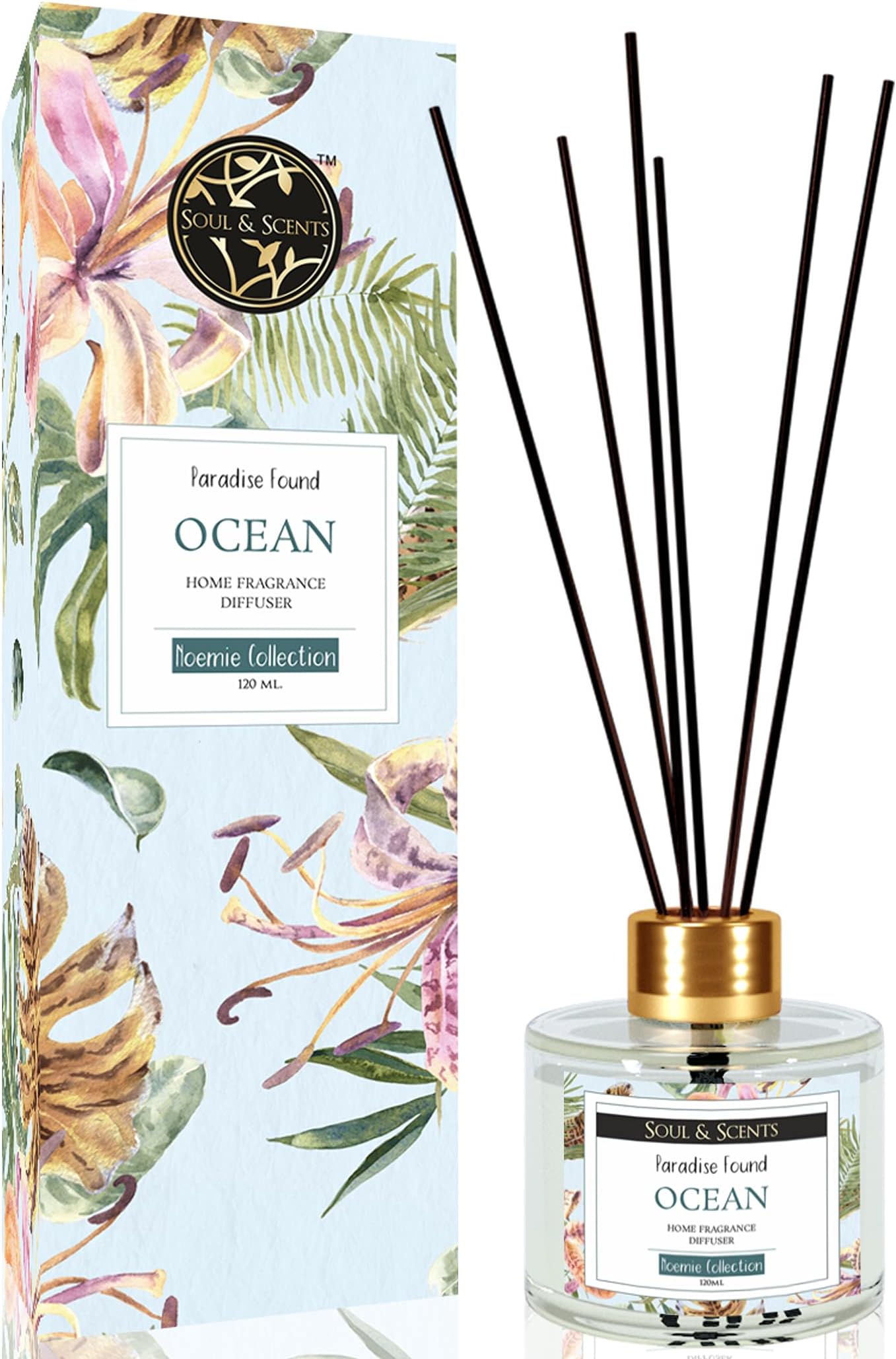 Ocean Scented 4.06 oz (120ml) Reed Diffuser Set with 6 Fiber Sticks for Room Decor | Home Fragrance Reed Diffuser | Air Freshners for Home