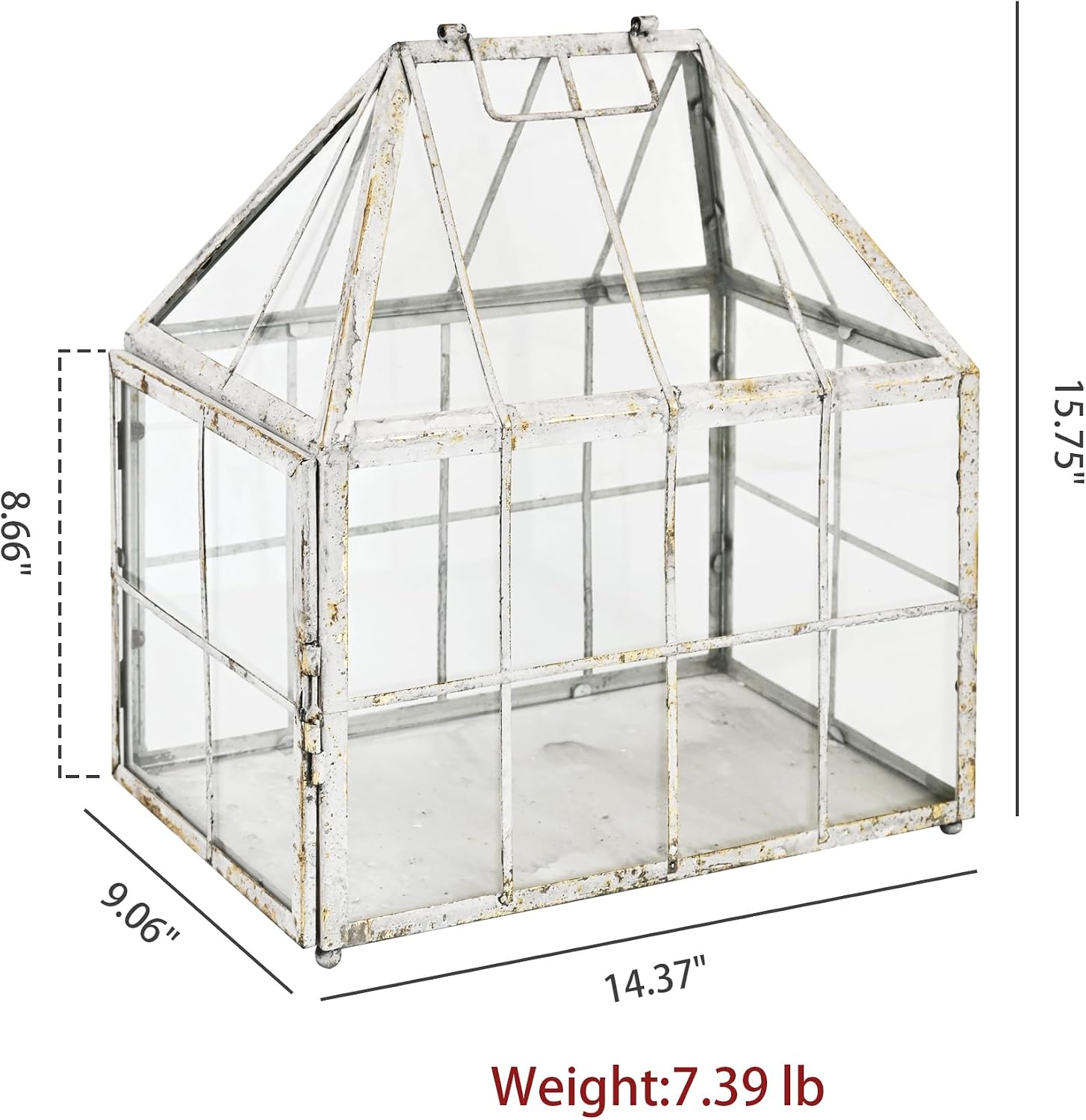 Vintage Large Glass Plant Terrarium Distressed Glass Greenhouse with Side Opening Door, Tabletop Plant House Display Box for Orchid Succulent Fern Moss Cacti Window Micro-Gardens Decor Gift image 2