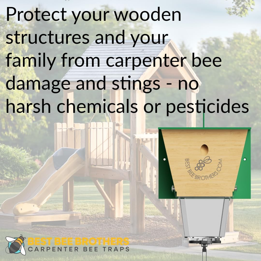 Best Bee Brothers Ultimate Pro Carpenter Bee Trap for Outdoors with Extra-Large Clear External Receptacle, Spring-Loaded Door, Durable Design, 4.2” D x 5.8” W x 7.5” H (2 Pack)