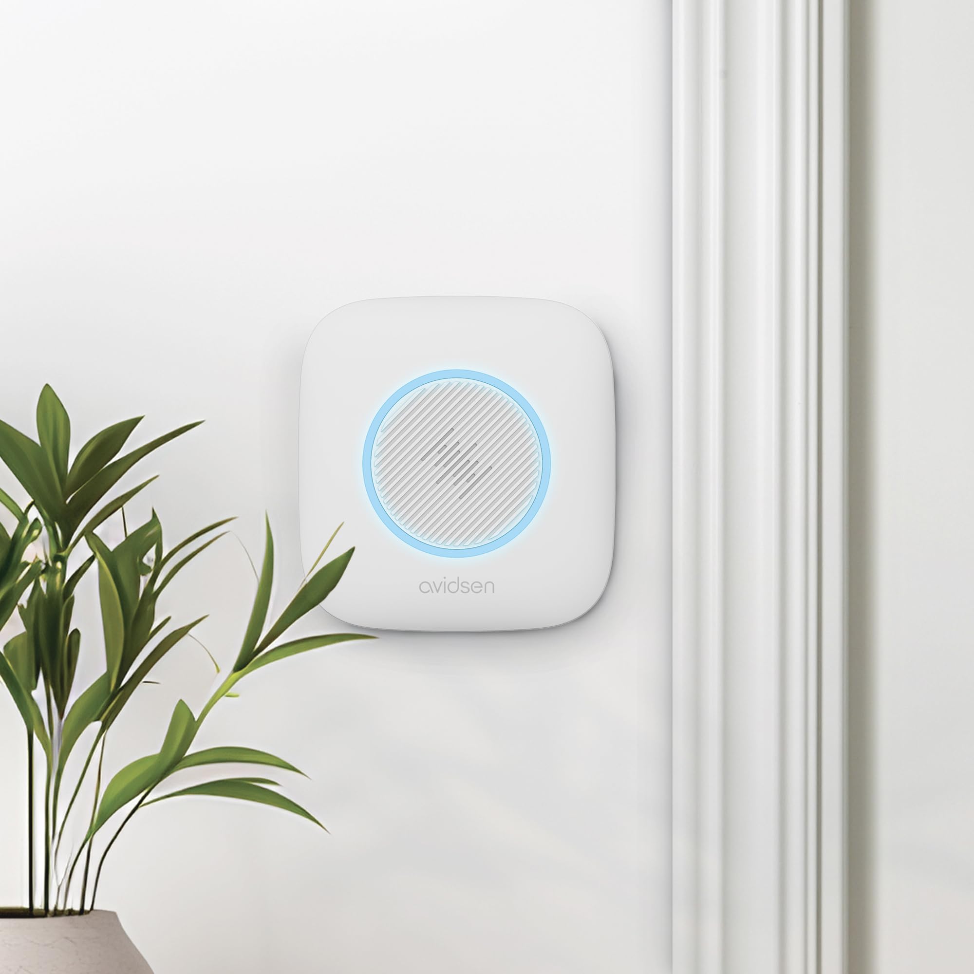 Campanello senza fili con luce lampeggiante e batterie (3xAAA) Sona - Avidsen