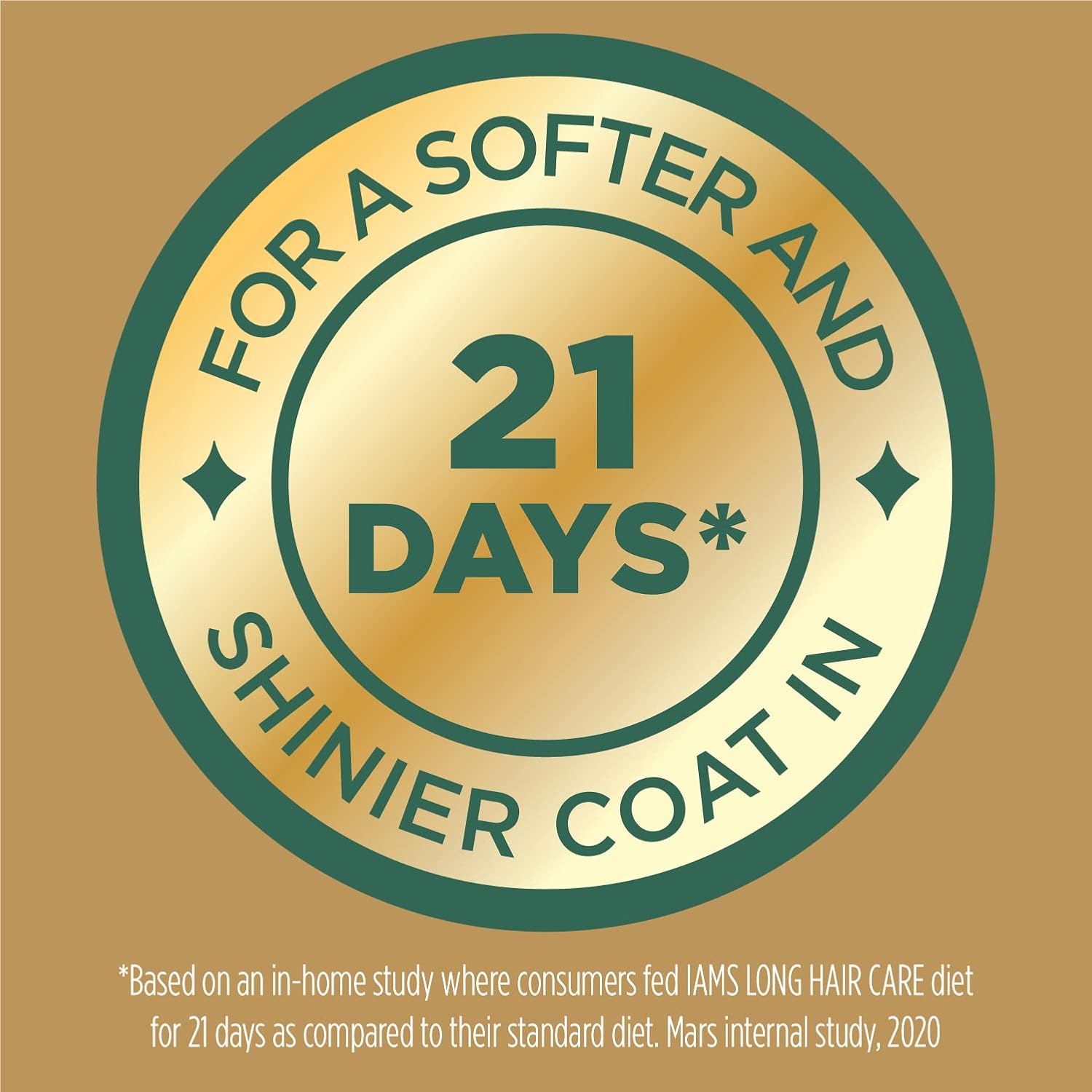 IAMS Proactive Health Long Hair Care Adult Dry Cat Food with Real Chicken, 6 lb. Bag : Pet Supplies