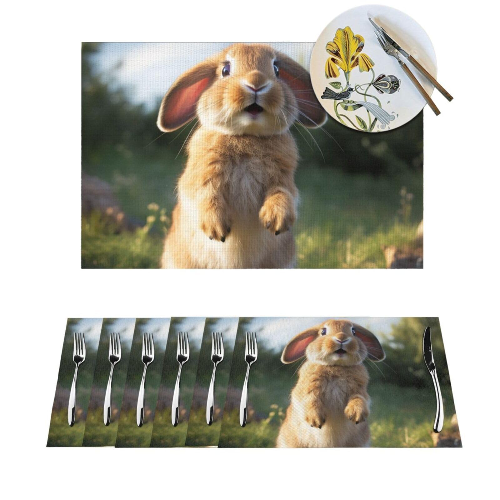 Lot de 6 sets de table lapins résistants à la chaleur et antidérapants pour salle à manger