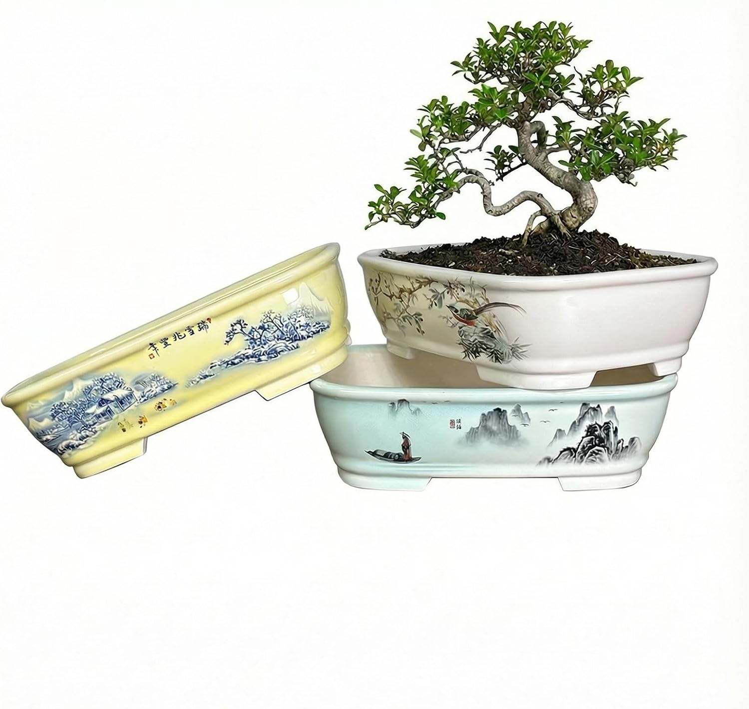 Bonsai Pots & Ceramic Planters with Drainage Tray, 8 Inch Shallow Rectangular Planter in Blue and White for Indoor-Outdoor Succulents & Bonsai Tree, Home & Office Tabletop Decor Gift