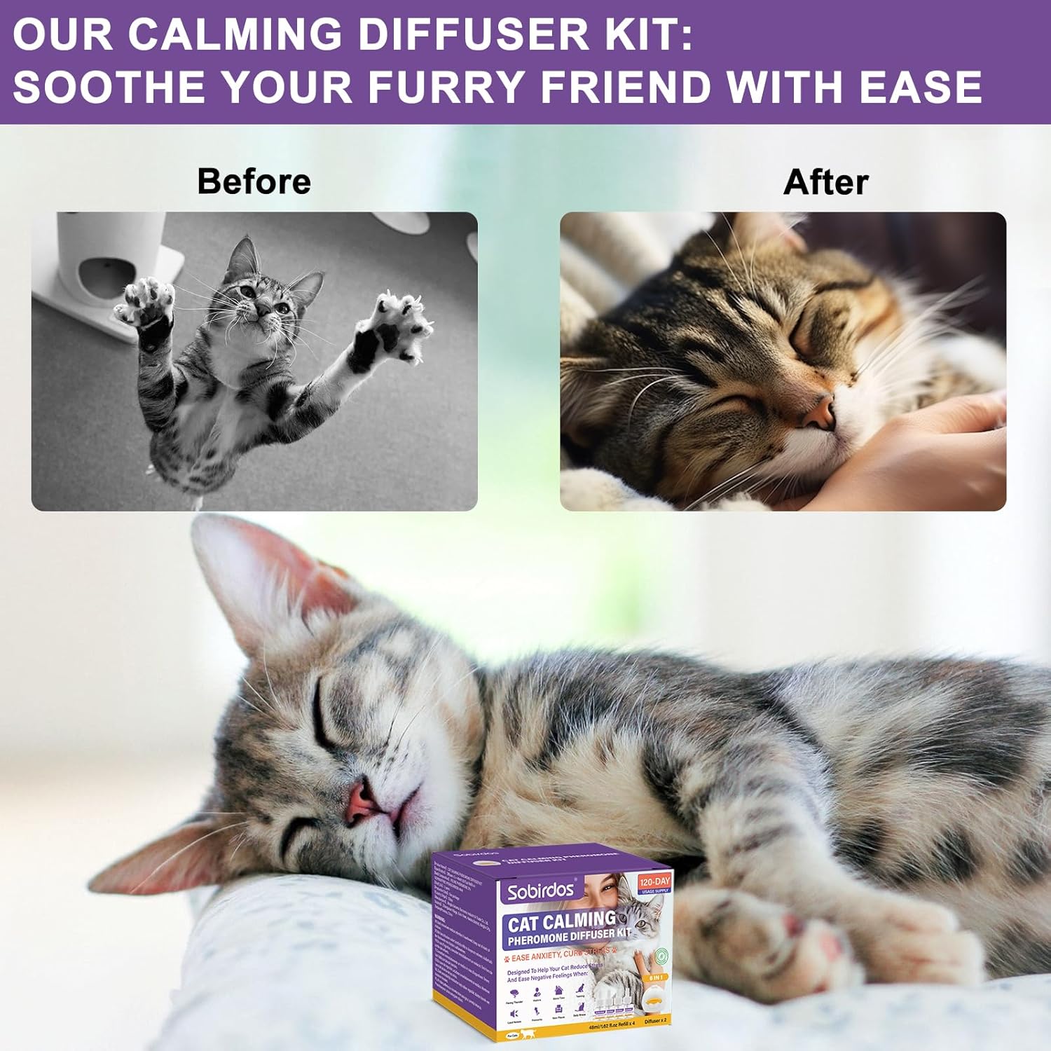 6-in-1 Cat Pheromone Calming Diffuser Kit - Relieve Anxiety, Reduce Fights/Scratching, 2 Plugs + 4 Refills, 120 Days (Purple, L)