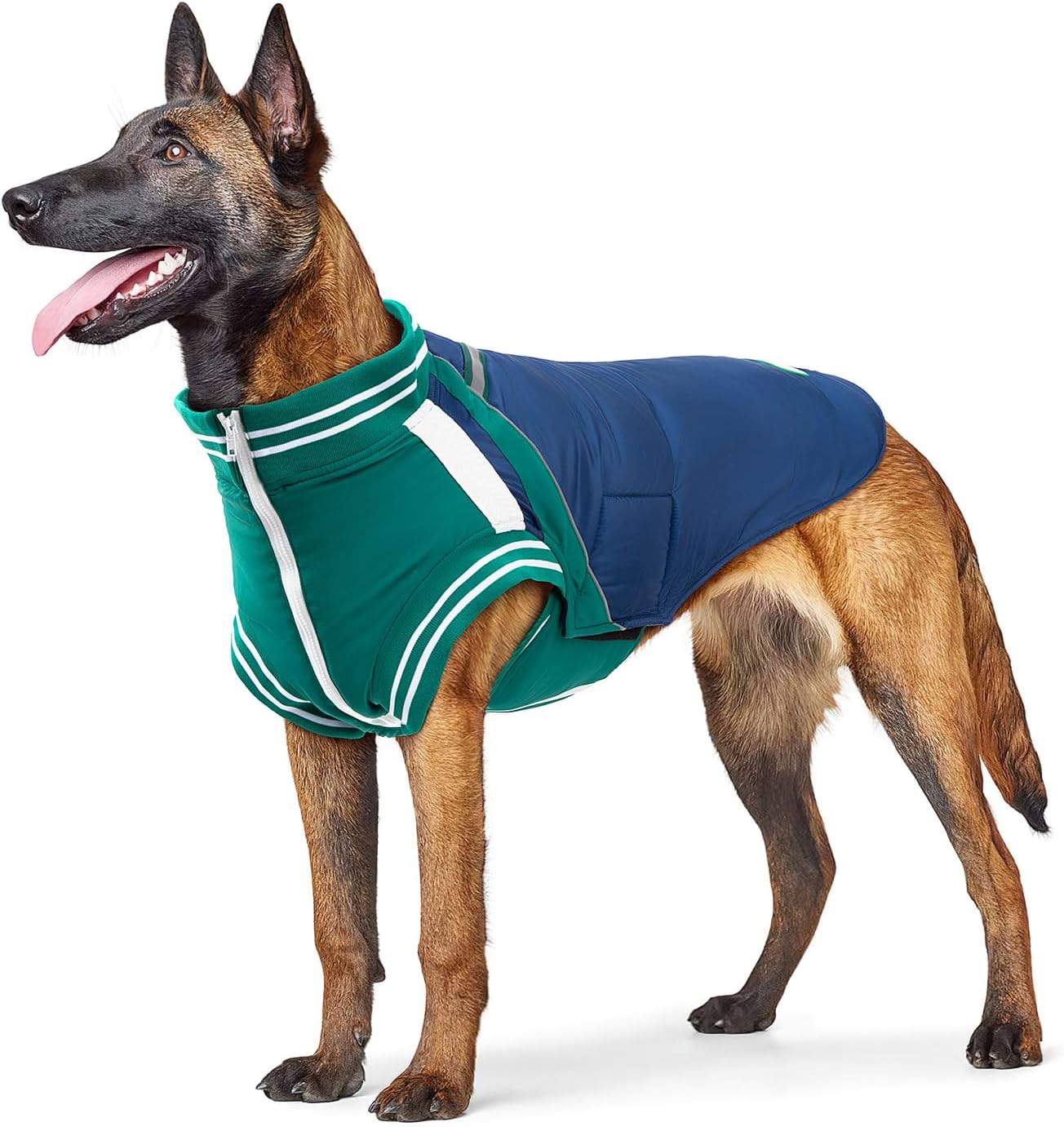 Dog Coat with Harness, Baseball Jacket for Medium and