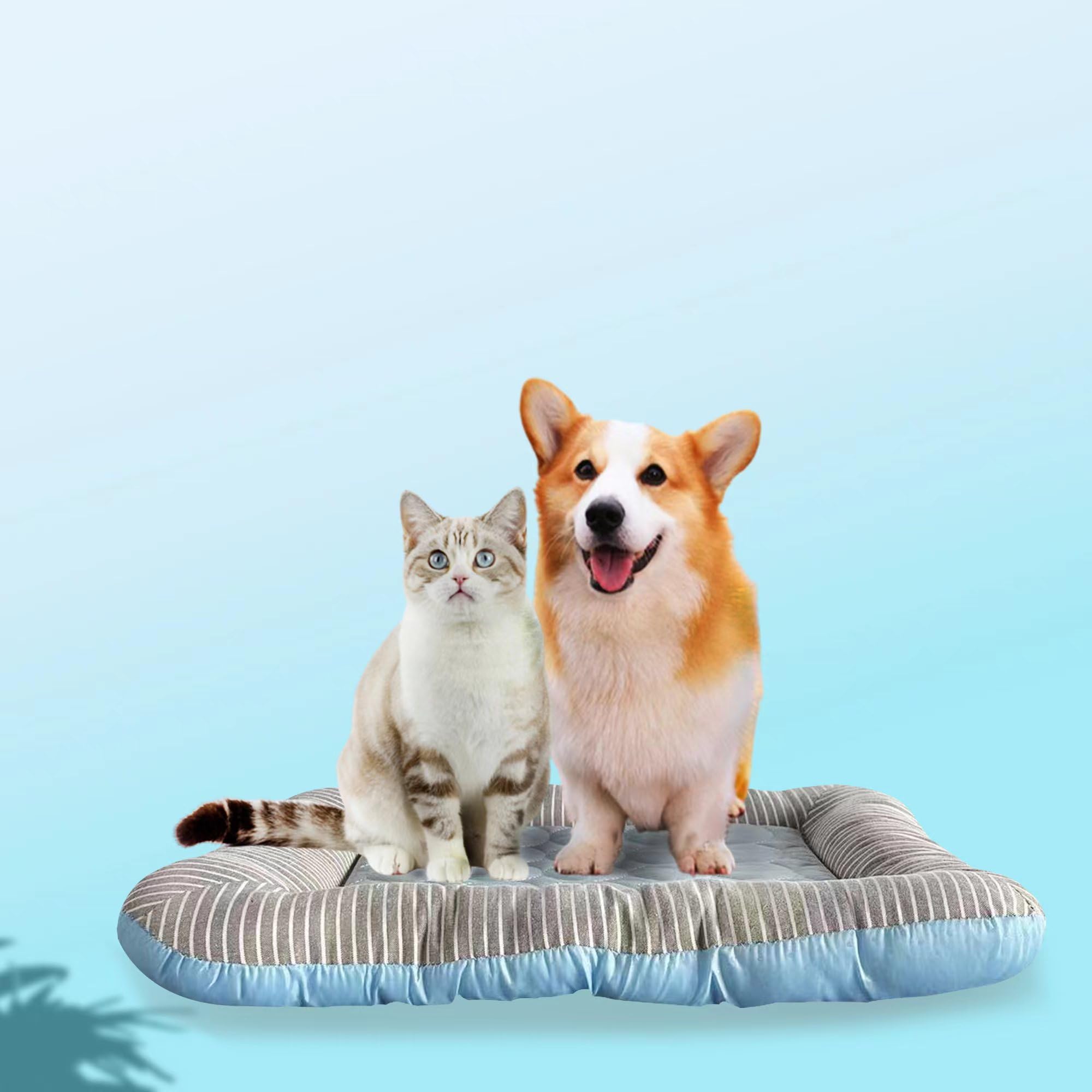 RPGT Summer Pet Self Cooling Mat No Electricity Required Kennel Bed Pad 18"x 22" Sleeping Mat Keeps Dogs and Cats Cool Ideal for Home and Travel