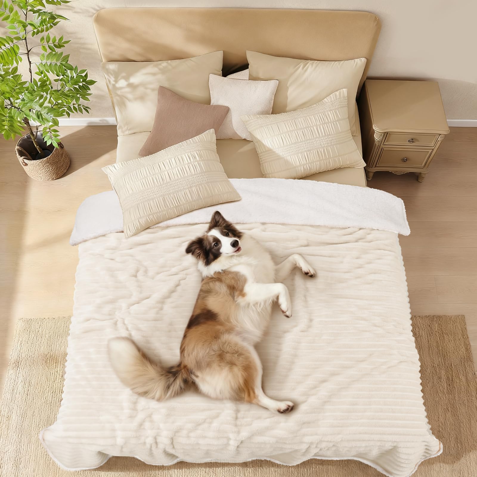 luciphia Manta Impermeable Lavable,Manta de Felpa para Mascotas Adecuada para Gatos,Perros y Cachorros,Manta para Perros Medianos y Grandes Que Protege Colchones y Sofás,Beige 145 * 165cm