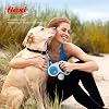 flexi – New Comfort Band Retractable Cord – 5 Metres Long for Dogs up to 25 kg – Black – 1 Piece