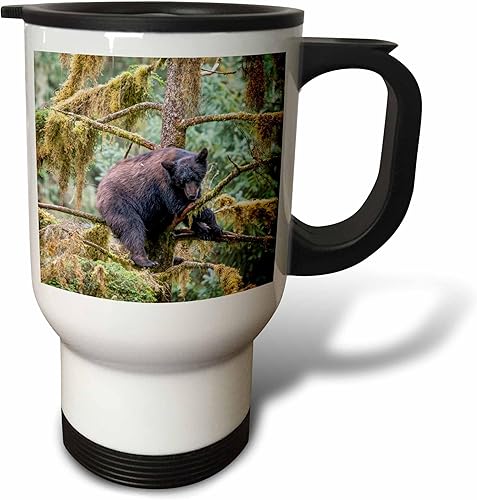 Miniatura 1 de 3dRose Black bear cub finds safety in a tree at Anan Creek. - Travel Mugs (tm-380595-1)