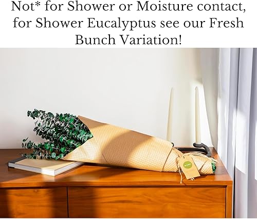 Miniatura 5 de De La Terre Tallos de eucalipto verde preservados para bebé, manojo grande de 1 libra para decoración, flores y manualidades
