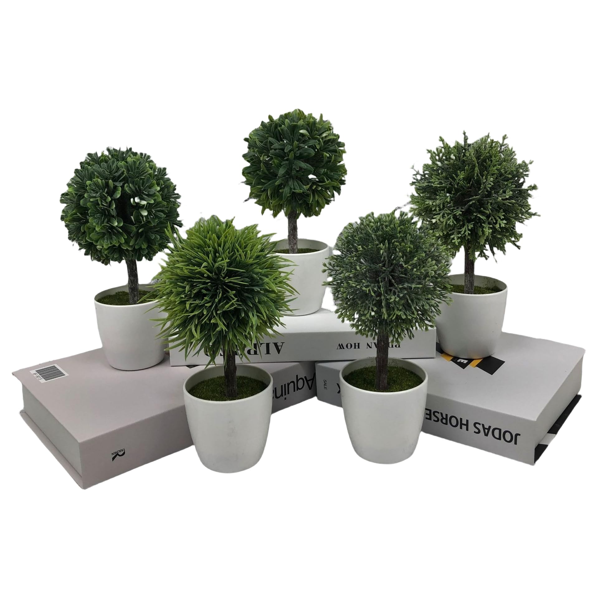 Petit arbre spherique en pot decoration table familiale et salon chaleureux