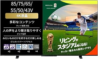 REGZA 43インチ 4K 液晶 43M550M スマートテレビ Airplay対応 2023年モデル