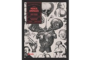 Original Pictorial: Tb Choi Art Book On Human Anatomy Visual Reference