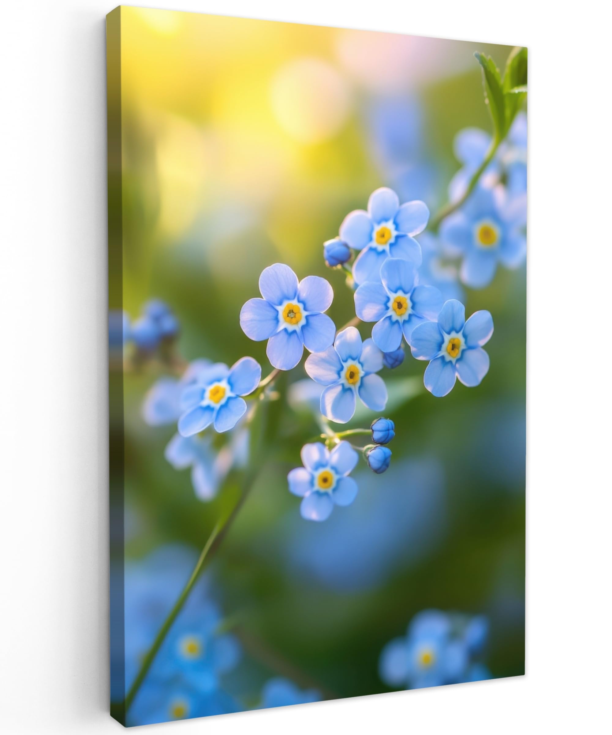 Gartenbild 80x120 cm Outdoor Deko Garten Leinwand Modern Wandbild Wetterfest Kunstdruck Terrasse Geschenke Draußen Blumen - Blau - Vergissmeinnicht