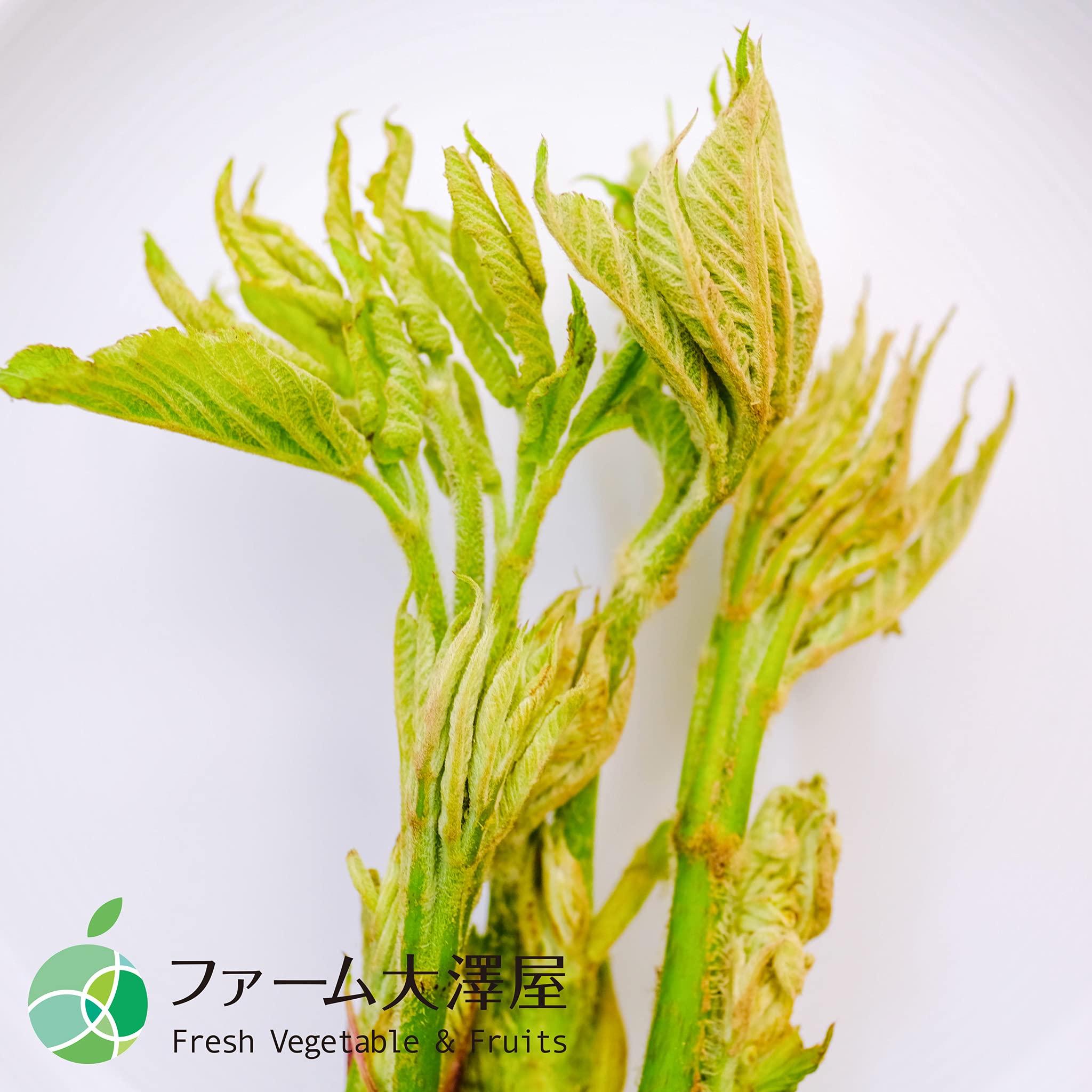 Amazon.co.jp: 山うど 約500g | 山ウド 山独活 山菜 天然物 長野県産