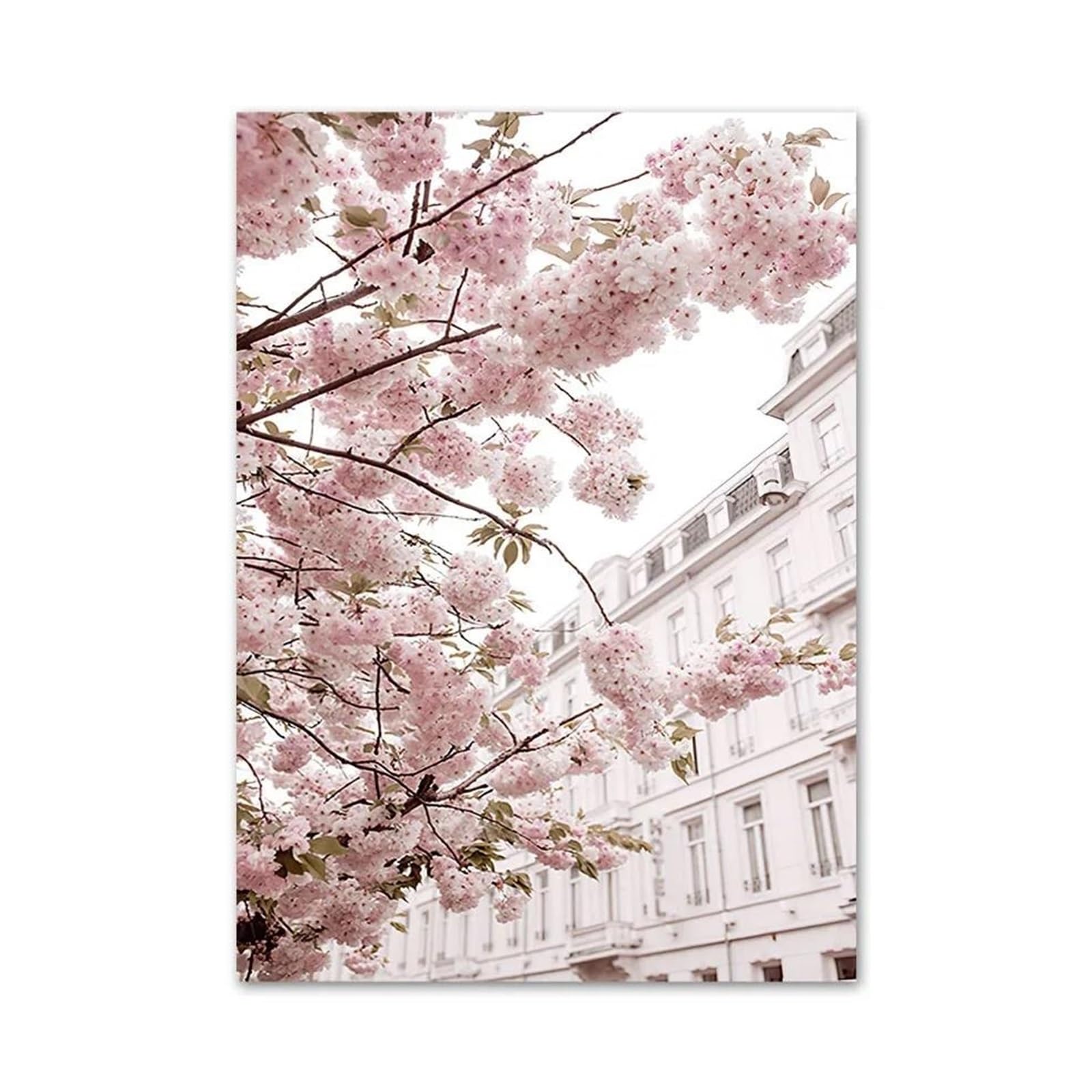 Impression sur toile paysage tulipes et sakura roses pour salon moderne 50x70cm