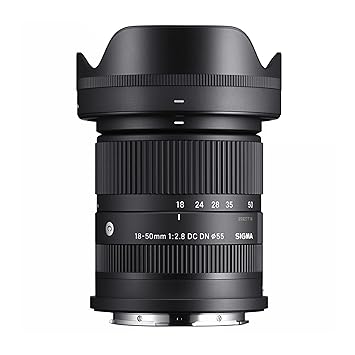 Sigma 18-50mm F2.8 DC DN Contemporary for L Mount (585969)