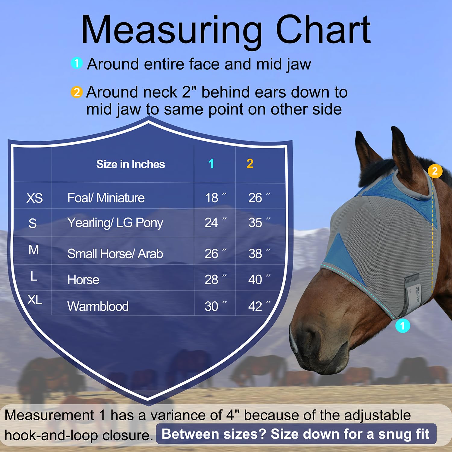 Fornyk Horse Fly Mask Without Ears, Writable Name Tag, UV Protection, Soft Padding, Adjustable Hook-and-Loop Strap, Ideal for Daily Turnout and Multi-Horse Barns (Blue, Large) - image 6