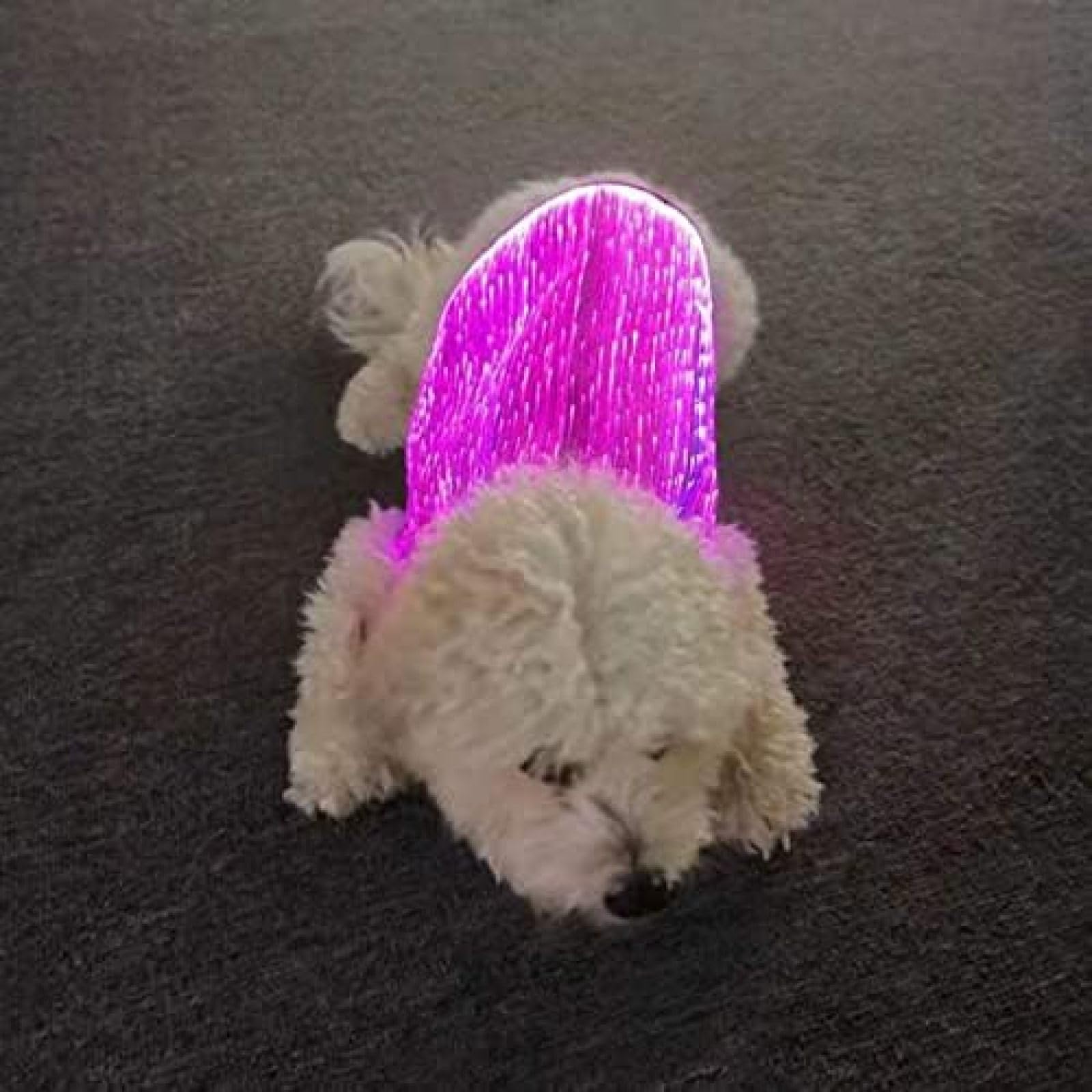 Mascota Perro RGB Ropa Luminosa Colorida, Chaleco Ajustable Arneses Fibra Óptica Ropa para Mascotas Que Brilla Intensamente Arnés para Perros De Fibra Óptica LED Chaleco para Perros Acolchado Suav