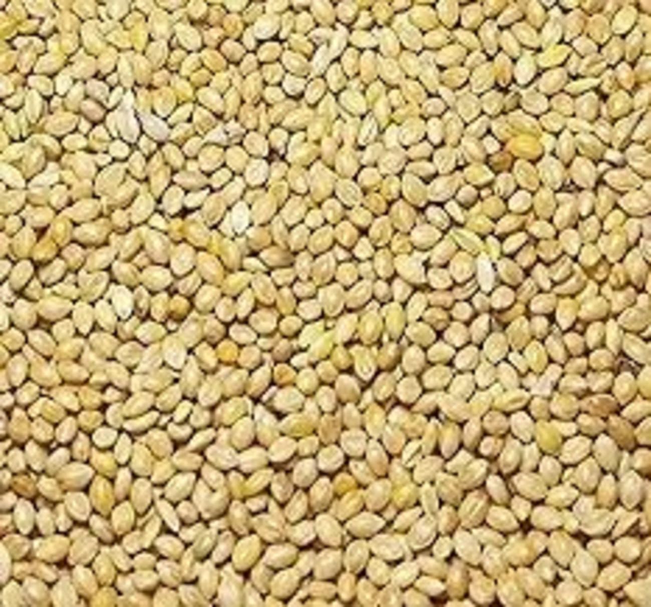 SPS MARKETING Foxtail Millet Kangni Seeds Bird Food/High-Fiber Balanced Nutritious Daily Diet for All Bird Types 1Kg (B0D4VQ2CKR) Amazon Price History, Amazon Price Tracker