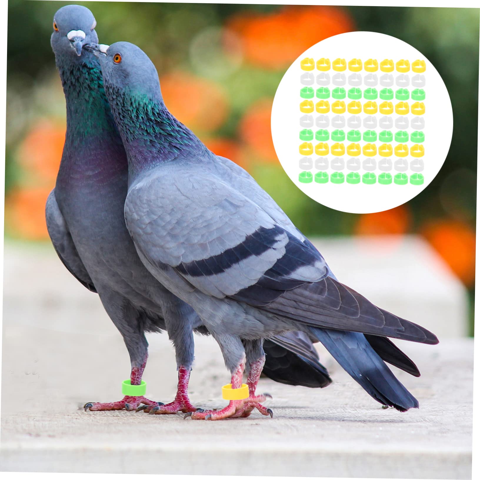 BESPORTBLE 900pezzi Anelli Identificativi per Piccioni e Pappagalli Anelli Leggeri Plastica Colorati per Uccelli Facile Identificazione e Classificazione