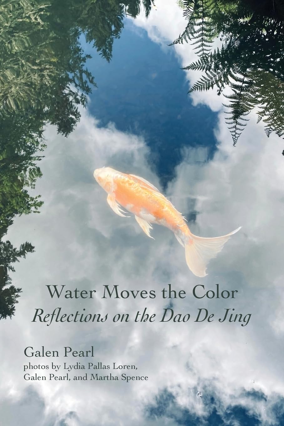 Water Moves the Color: Reflections on the Dao De Jing