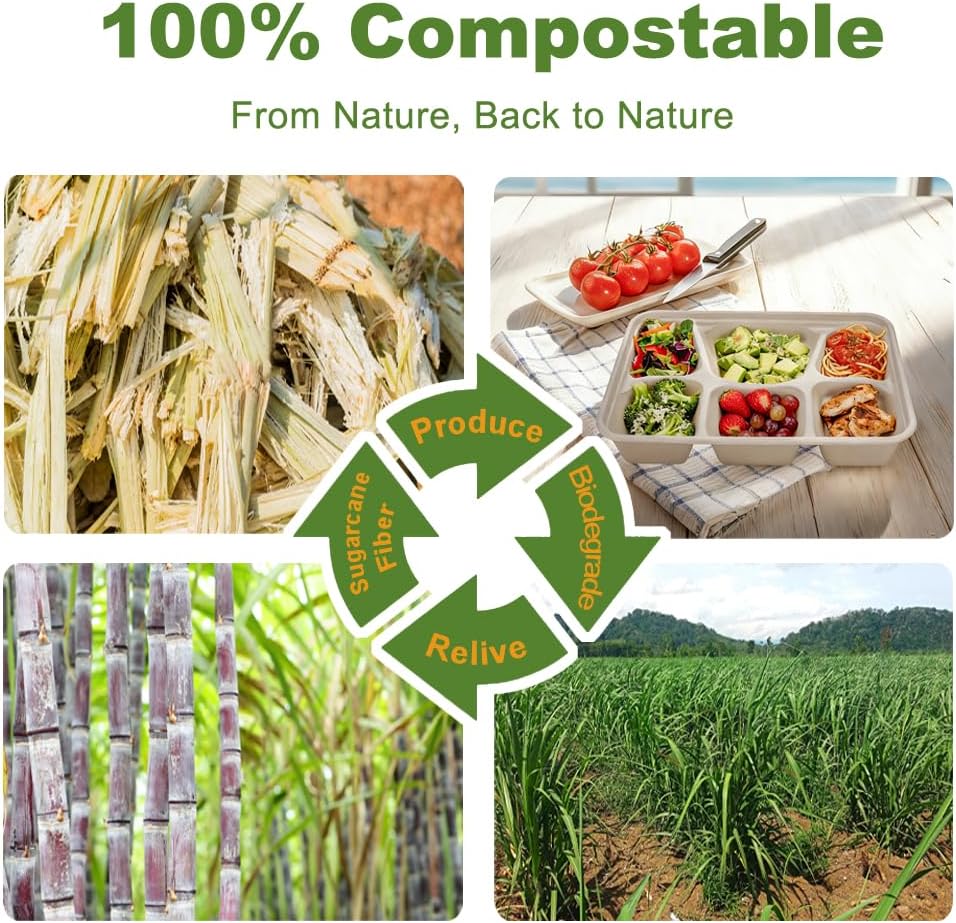50 Pack 6 Compartment Disposable Paper Plates, Compostable Bagasse School Lunch Tray, Biodegradable Sugarcane Food Sectional Plates, Heavy-Duty Divided Platter Tray for Buffet Party, Microwave Safe - Image 5