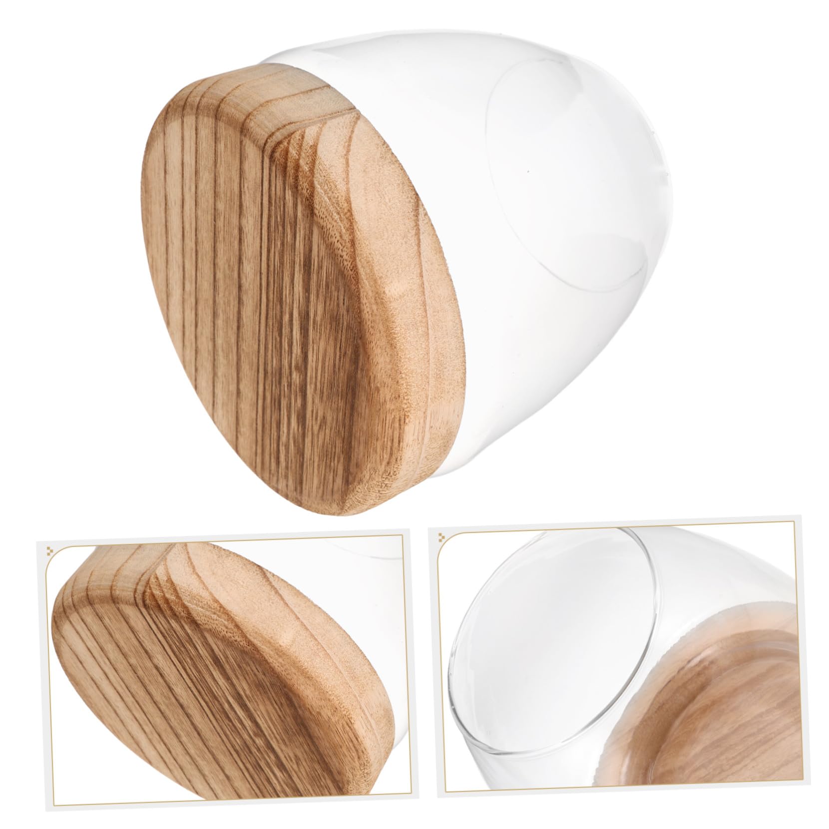 Vase Hydroponique en Verre avec Base en Bois pour Boutures