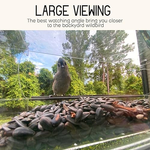 Miniatura 3 de MrCrafts Comedero para pájaros de ventana para exteriores con ventosas fuertes, se adapta a cardenales, pinzones, gallineros, etc