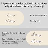 Lamy 2000 L01M Pióro Wieczne, Czarny/Niebieski, 1 sztuka