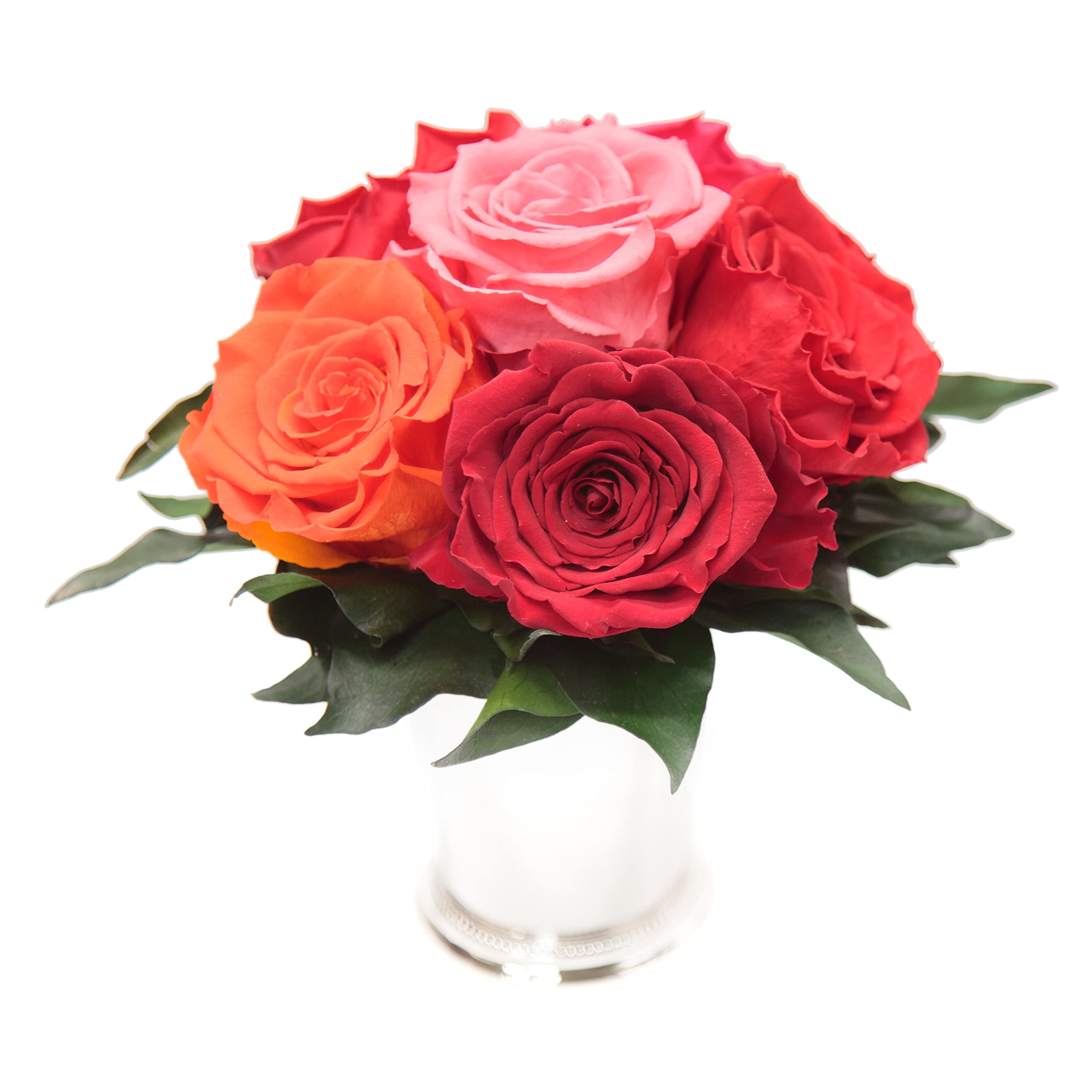 Rosengesteck 6 konservierte Rosen mit Efeublättern Infinity Rosenbox rund 3 Jahre haltbar Ø 20-23 cm Höhe 21 cm