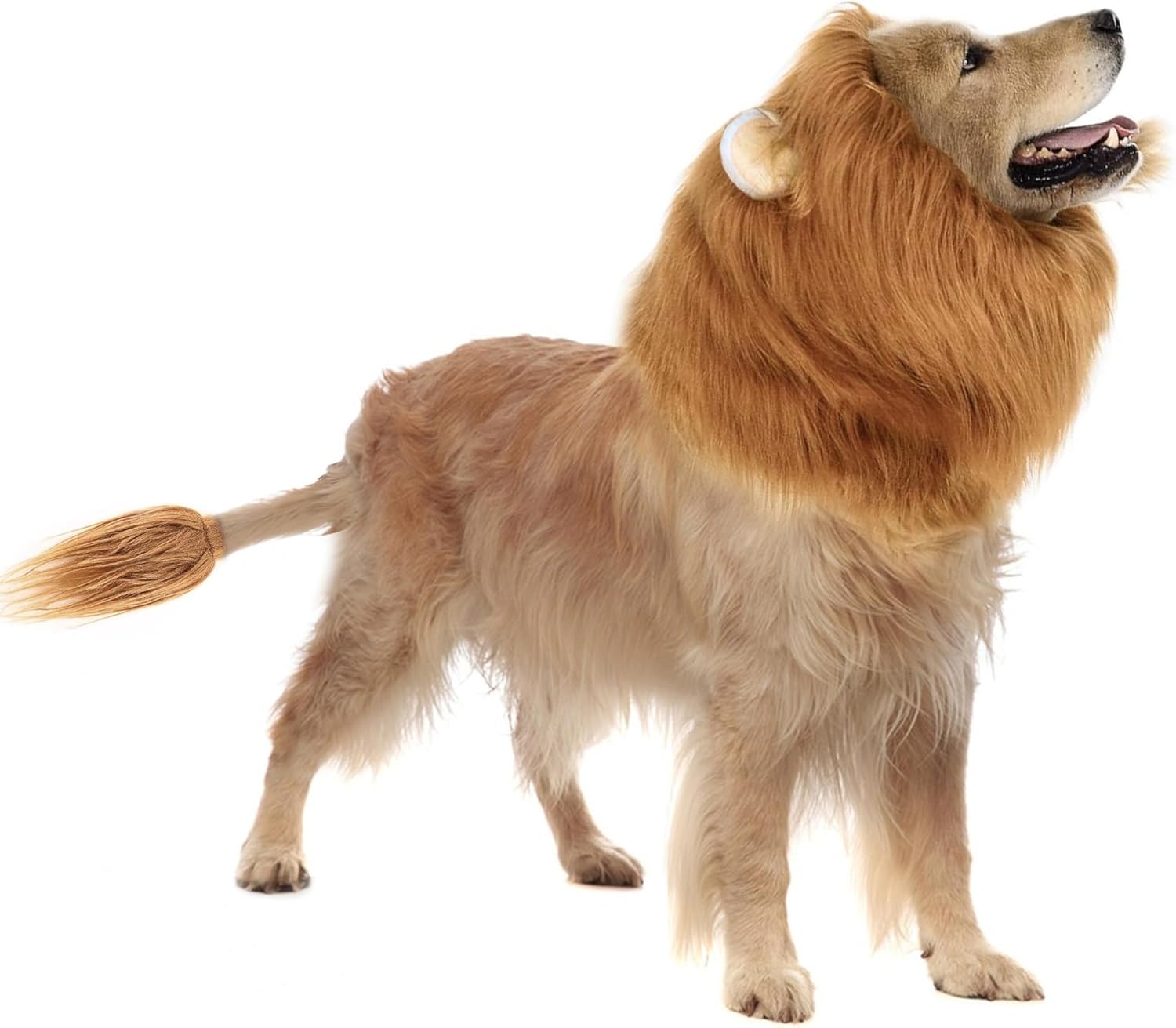 Disfraz de León para Perro Mediano y Grande - Melena y Cola (Marrón Claro) Talla S