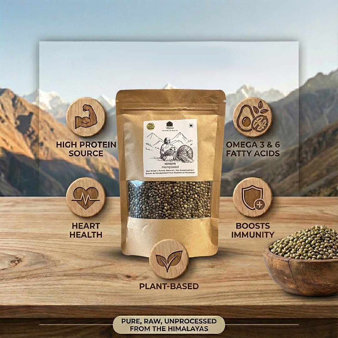 Gauraaj Hempseed (Bhangdana) – 200 Gm | Natural Superfood | High in Protein & Fiber | No Preservatives or Chemicals | Pahadi Hemp Seeds (Pack Of 2) - Image 2 thumbnail