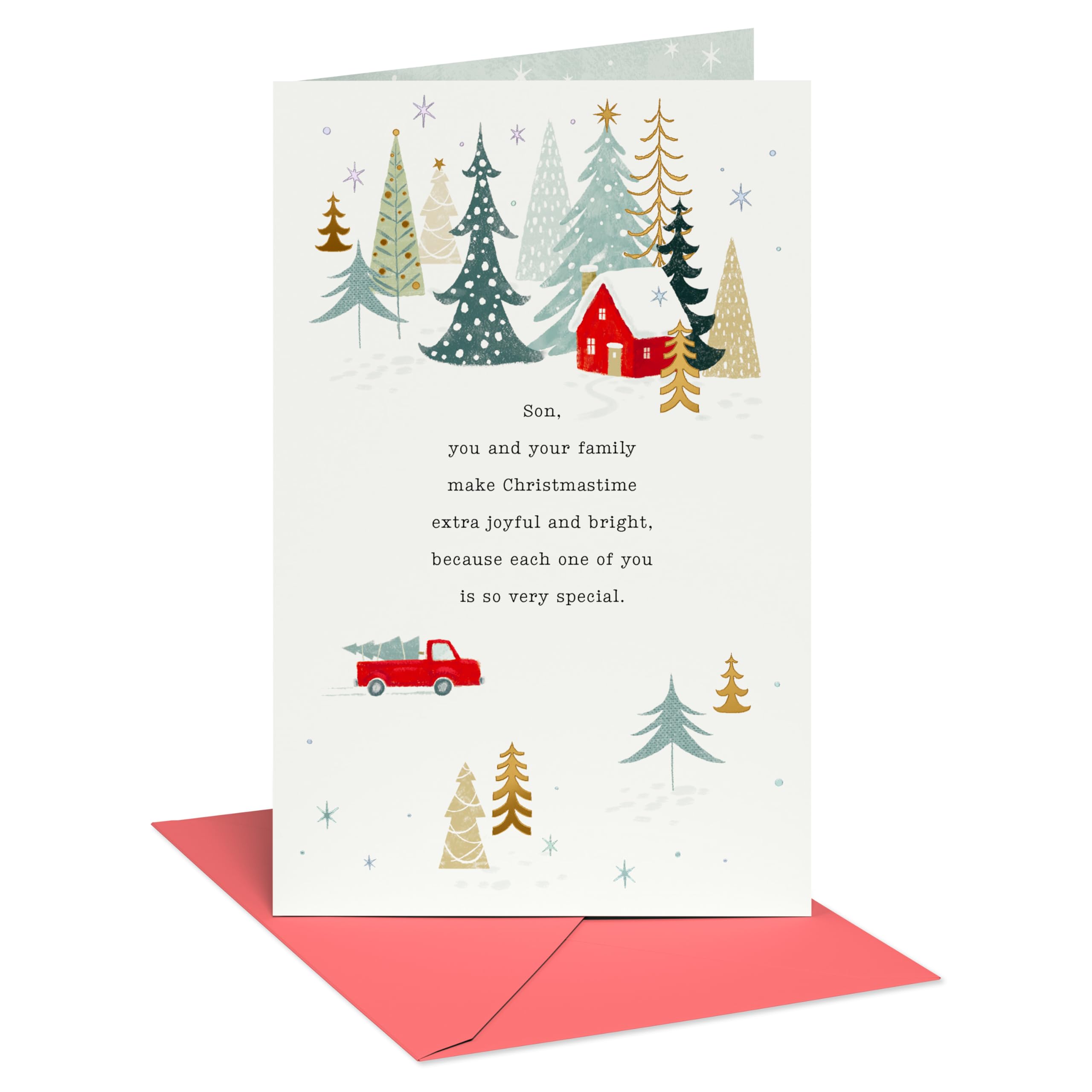 American Greetings Merry Christmas Card for Son and His Family (So Lucky)