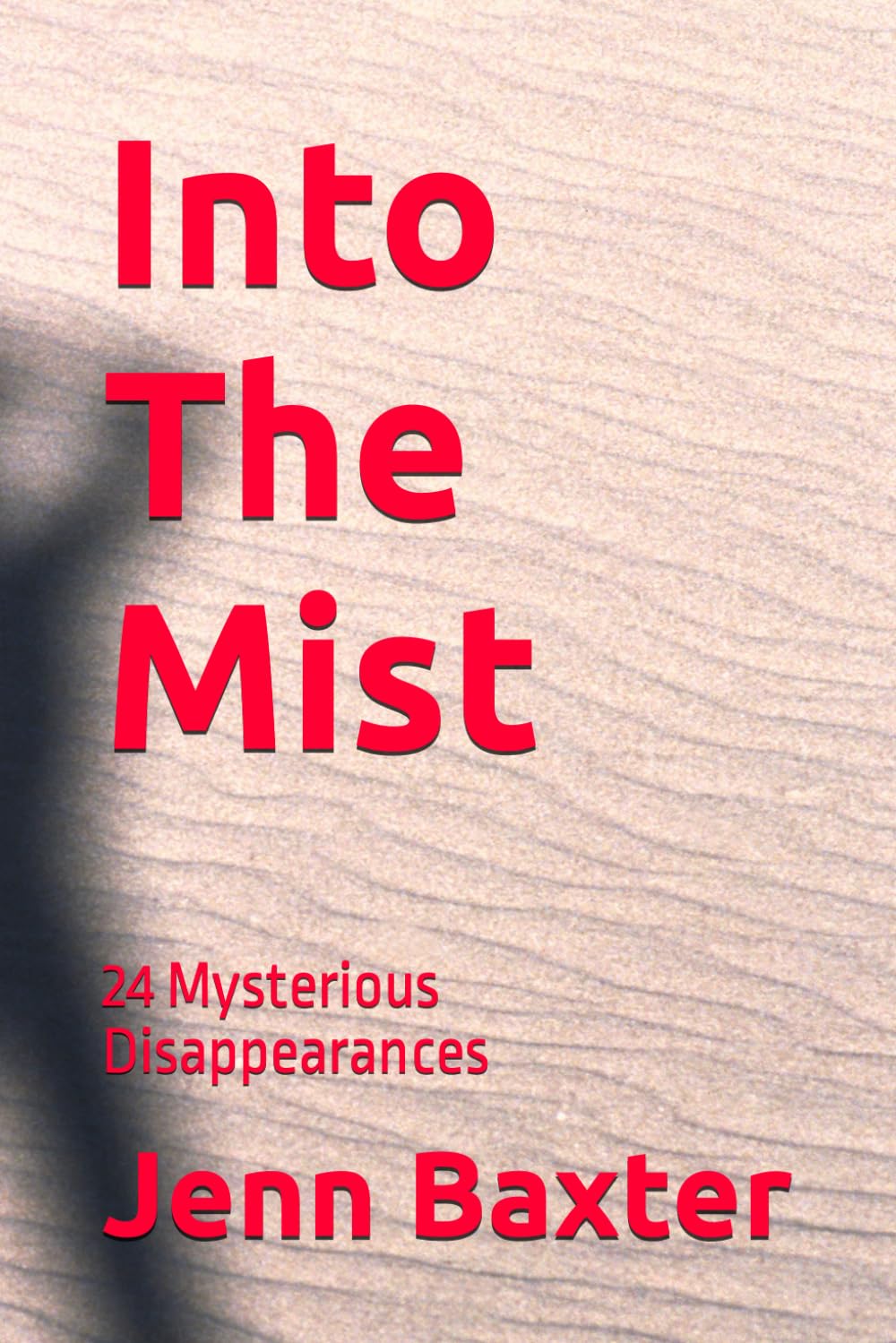 Into The Mist: 24 Mysterious Disappearances (Missing Person Cases From Across America)